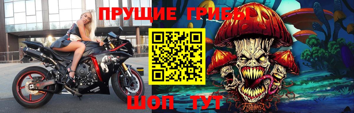 Псилоцибиновые грибы Psilocybine cubensis Гай